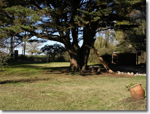 Cabaa Antares - TANDIL