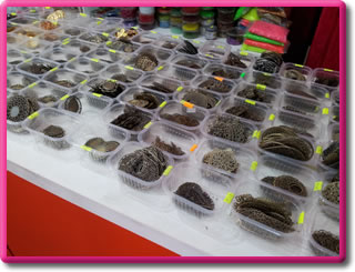 Wendy - Almacén de Arte en Tandil